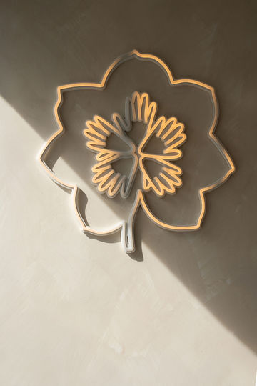 130 Primrose — photography by Kira Turnbull